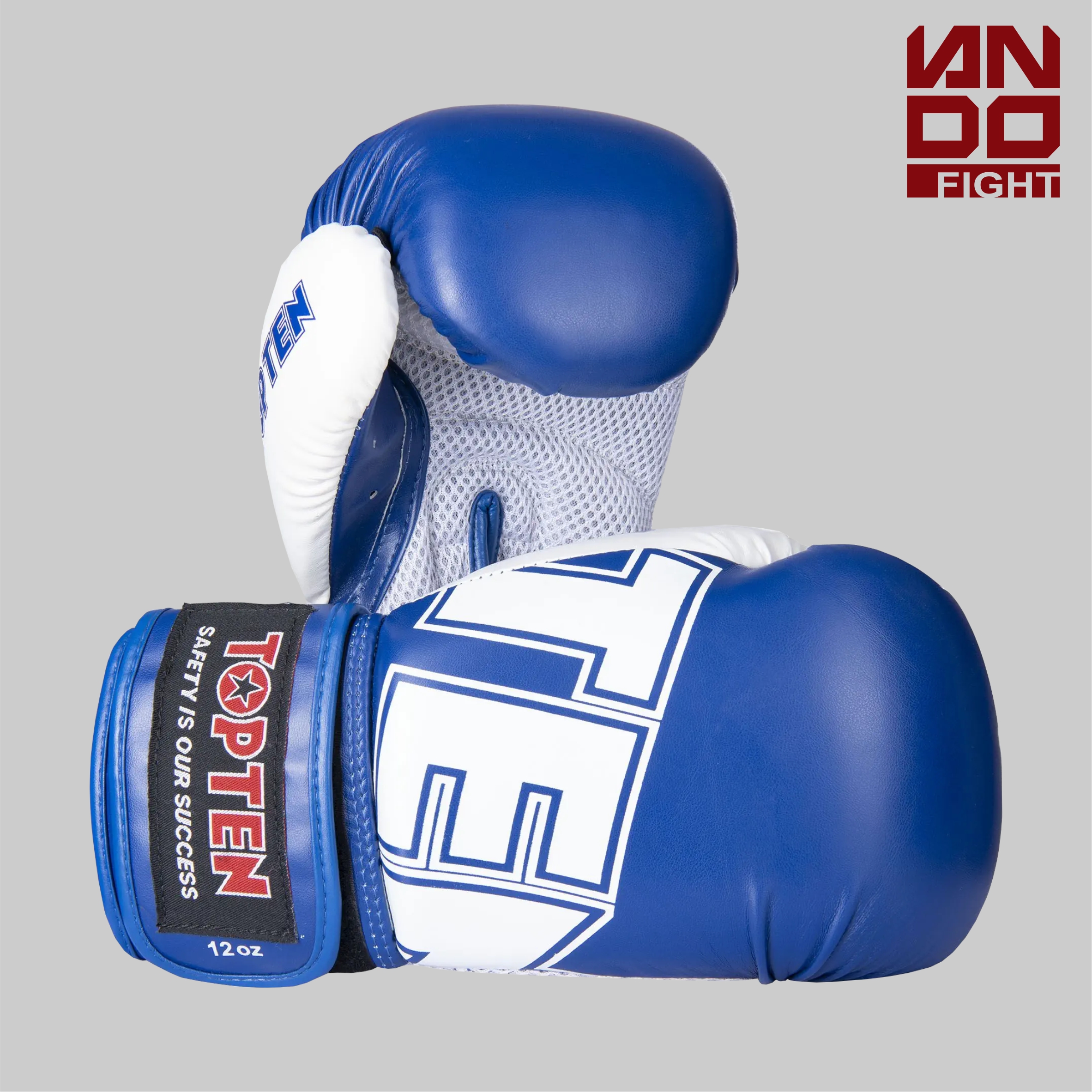 TOP TEN Boxing Gloves “NK 3” Синие