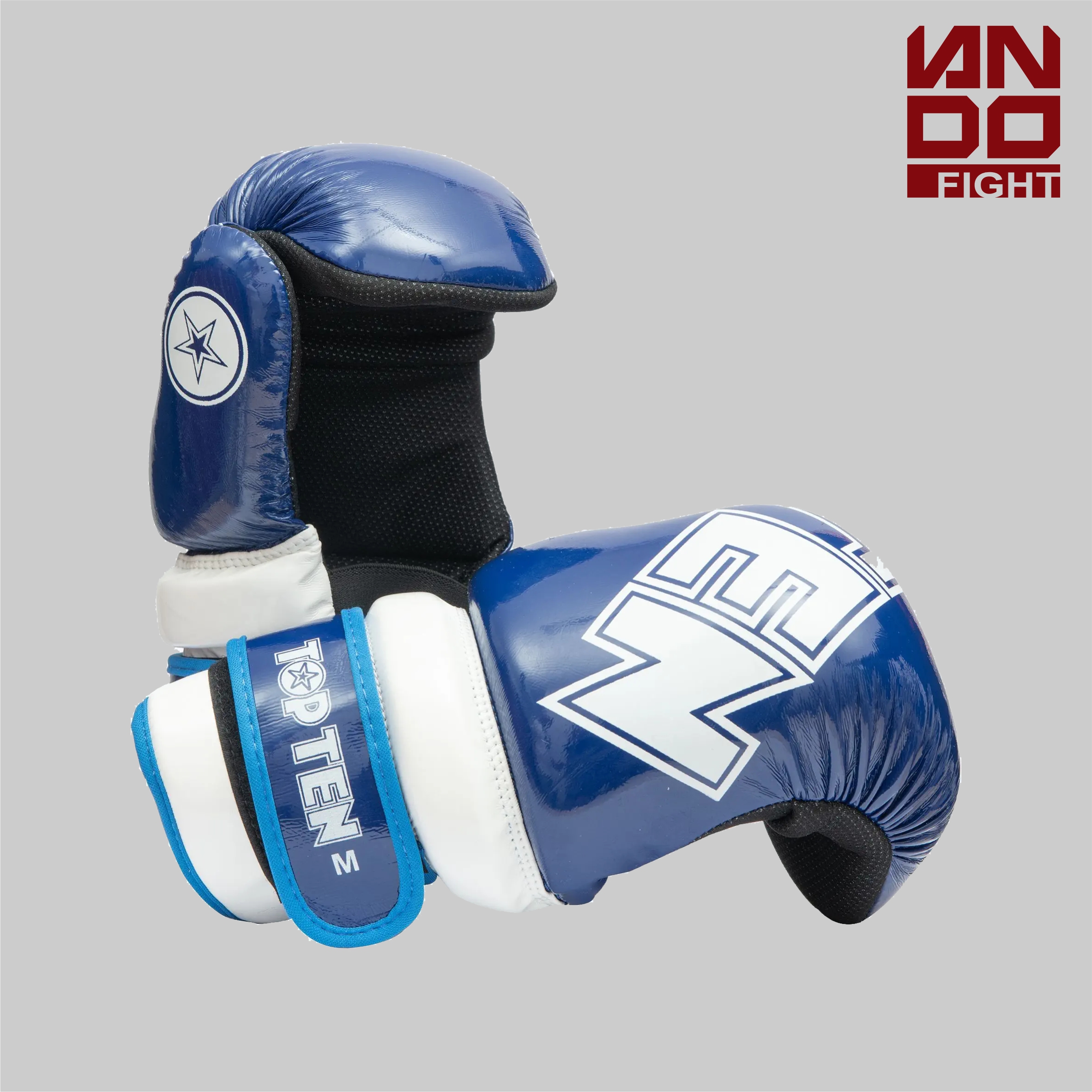 TOPTEN перчатки Pointfighter “Glossy Block” Синие